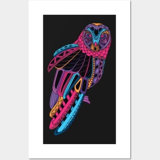 Colourful owl Posters and Art